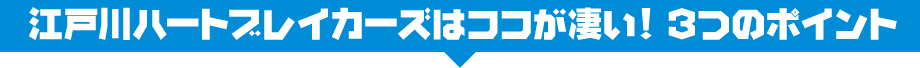 江戸川ハートブレイカーズはココが凄い！ ３つのポイント